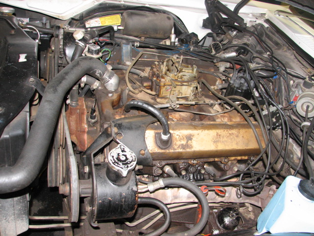 toro2 005.JPG