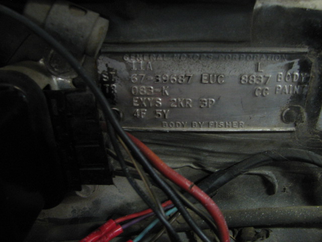 toro2 011.JPG