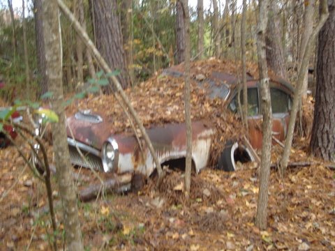 DSC02057.JPG
